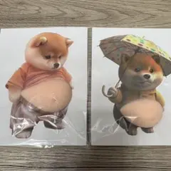 お腹ぷにぷにシール 柴犬 おなかぷくぷくシール 3Dシール 2匹
