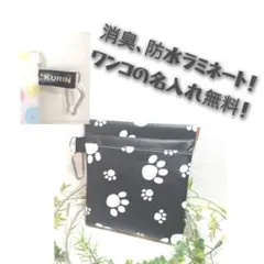 Item thumbnail for item ee57381e-6661-4c70-a7e1-166ea6b86571