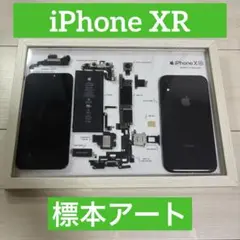iPhone 5 Black 標本アート ボックスフレーム仕様 - メルカリ