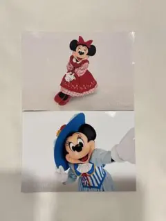 東京ディズニーリゾート ミニーマウス ブロマイド 2枚セット