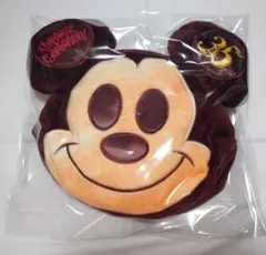 ディズニーランド 35周年 スーベニア ミッキー パン ランチバッグ