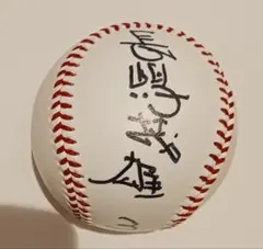 広島東洋カープ 直筆サインボール 前田智徳 新井貴浩選手 - メルカリ