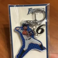 中島卓也 北海道日本ハムファイターズ プレーヤーズダイカットキーホルダー