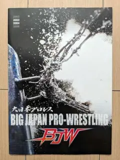 大日本プロレス　パンフレットセット 2025年最新】プロレスパンフレットの人気アイテム - メルカリ