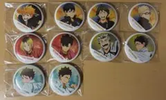 ハイキュー　缶バッジ　10種全種セット＋岩泉レア