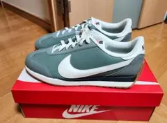 Item thumbnail for item 77cb6f78-4082-4c28-9ecc-31bacf0a928c