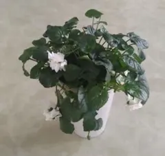 みさくまはるまめ様 リクエスト 2点 まとめ商品