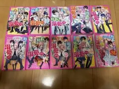 2026年最新】総長さま、溺愛中につき。 公式ファンブックの人気
