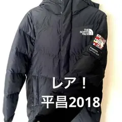 ノースフェイス ロングダウン