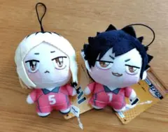 2025年最新】ハイキューちょぴぬいの人気アイテム - メルカリ