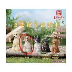 2026年5月発売予定】まてぼうけ 犬 4 ミニチュア ダックスフンド