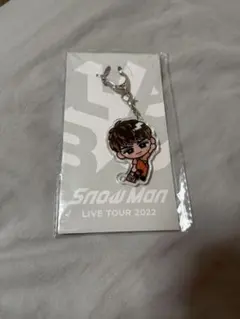 【新品未開封】Snow Man 向井康二 すのチル アクリルキーホルダー
