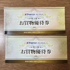 最安値❗️ヤマダ電機 株主優待 お買物優待券 10000円分