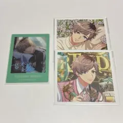 A3！　皆木綴　ぱしゃこれ　箔押し　ましコレ