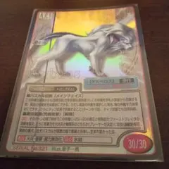 真・女神転生 TCG ケルベロス(ホロ)