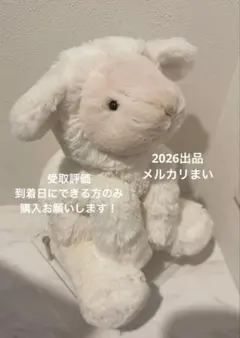 タグ付 ジェリーキャット Pom Pom Bird Mint Fizz タグ付 ジェリーキャット Pompom Bird Mint Fizz ぬいぐるみ - メルカリ