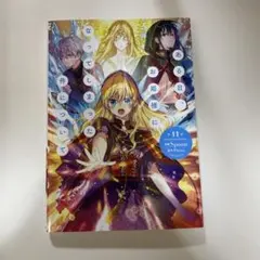 ある日、お姫様になってしまった件について　11巻