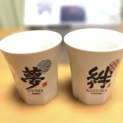 【箱付き】文字職人 杉浦誠司 めっせー字 フリーカップ ペア 湯呑み 夢 絆