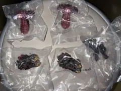 一番くじゴジラ モンスターヘッドマグネット×5セット