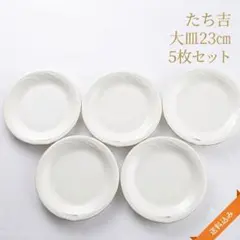 【美品】たち吉 RICHFIELD リッチフィールド 大皿 5枚セット 23cmのサムネイル