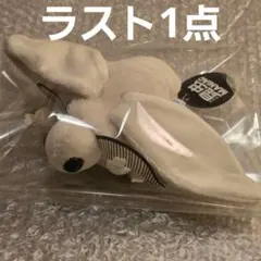 昆虫MANIAC　カイコガ　カイコ　蚕蛾　モス　ぬいぐるみ　昆虫マニアックグッズ