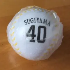 SoftBank HAWKS 杉山一樹 40 スクイーズボール 新品 2026