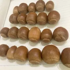 Item thumbnail for item feb7deae-d216-4303-a403-34e1d400f1ba