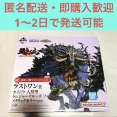 一番くじ ワンピース 覇王ノ兆 ラストワン賞 カイドウ フィギュア