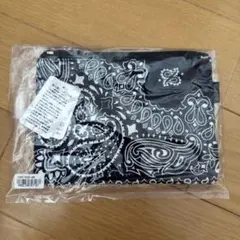 【未開封】HAV-A-HANK ペイズリー柄 フラットポーチのサムネイル