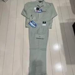 Item thumbnail for item 009bce94-4e30-481c-864e-abee7c95496a