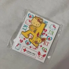 けんけつちゃん ハローキティ 限定ピンバッジ【非売品】