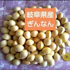 岐阜県産 無農薬 藤九郎 手剥き ぎんなん 350g ★今だけお試し価格★のサムネイル