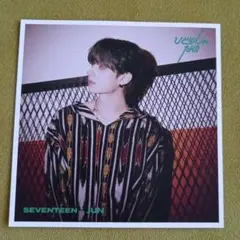 SEVENTEEN セブチ ひとりじゃない エントリーシート ジュン