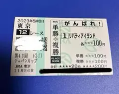 エルコンドルパサー　ジャパンカップ　単勝馬券(旧) 2025年最新】馬券 エルコンドルパサーの人気アイテム - メルカリ