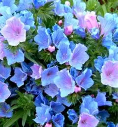 Nami Satoh様 リクエスト 2点 まとめ商品