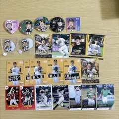 ソフトバンクホークス 若鷹ガチャ タカコレカード 岩井俊介選手