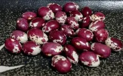 くるてく様 リクエスト 4点 まとめ商品