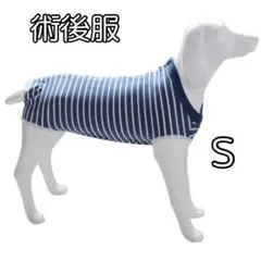 Item thumbnail for item 134efcb1-e469-40de-b7af-37d35ce2b1ab