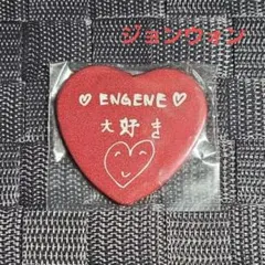 ENHYPEN House of Vampire 缶バッチ ジョンウォン
