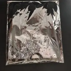 ちゃんみな ロングスリーブ Tシャツ Lサイズ AOD4 - メルカリ