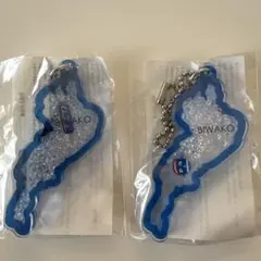 BIWAKOアクリルキーホルダー滋賀レイクス【2個セット】#レイスチア#マグニー