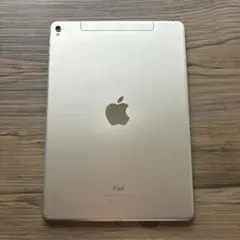 iPad Proシルバー 本体 + 箱