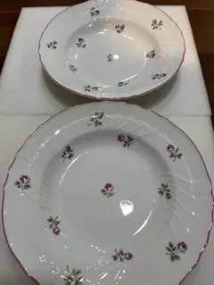 2026年最新】Richard Ginori 食器の人気アイテム - メルカリ