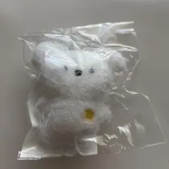 EVNNE EVNNIZ ミニ ムンムンイ ぬいぐるみムンジョンヒョン - メルカリ
