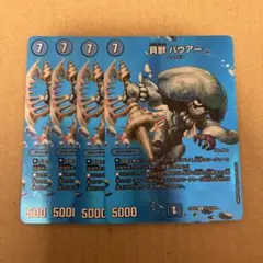 2026年最新】貝獣 パウアーの人気アイテム - メルカリ