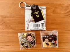 群馬クレインサンダーズ DTグッズ3点