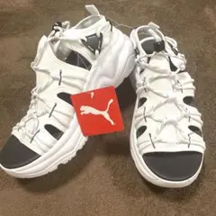 Item thumbnail for item 7c3bb729-c8f5-47e7-a0b9-488e102a3fec