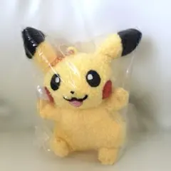 韓国限定　ポケモン30周年　マグネットキーホルダー　ピカチュウ