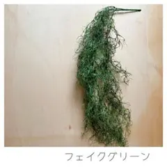 kazutoyo様 リクエスト 2点 まとめ商品