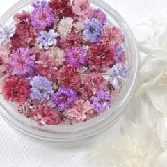 かすみ草ドライフラワー　ボルドーmix